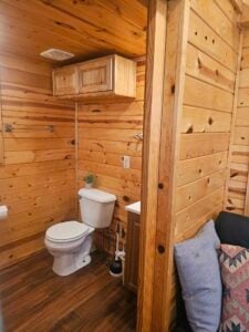 A small bathroom with wooden walls and ceiling. It features a toilet with a small potted plant on the tank, a vanity with a mirror, and a cabinet above the toilet. Part of a dark-colored couch with cushions is visible in the foreground.