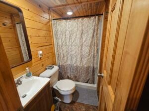 A cozy wooden bathroom with a small sink and mirror on the left, a toilet in the center, and a shower with a curtain featuring a tree branch design. The bathroom has wooden walls and a partially open wooden door on the right. A grey mat is placed on the floor.