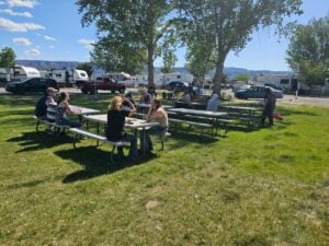 People are sitting at picnic tables on a grassy area under clear blue skies with trees providing partial shade. RVs and vehicles are parked in the background. The atmosphere appears relaxed and sunny.