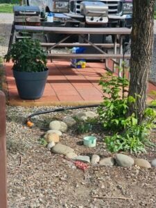 A picnic table set on a red-tiled patio with a grill on top and a black plant pot next to it. In the foreground, a tree trunk stands by a small rock-lined garden with a green water spigot, surrounded by gravel and a garden hose. A truck is parked behind.