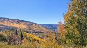 A gallery-worthy scene of a forested hillside in autumn, showcasing vibrant fall foliage in shades of orange, yellow, and green under a clear blue sky.