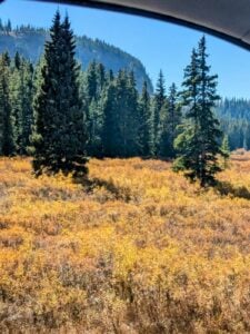 A scenic view from a car window reveals a gallery of nature's artistry: a sunlit forest with tall evergreen trees, a meadow draped in yellow and orange foliage, all set against the majestic backdrop of distant mountains under a clear blue sky.