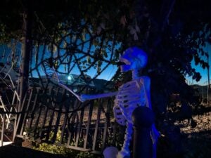A skeleton, like a haunting exhibit in an outdoor gallery, decorates the area under a night sky, lit by an eerie blue light. Nearby, a trellis and railing are partially cloaked in ivy, enhancing the spooky atmosphere.