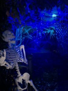 A skeleton is seated in a dimly lit, eerie gallery under a canopy of tangled blue string lights resembling spider webs. The surrounding area is dark, enhancing the mysterious atmosphere of the art exhibition.