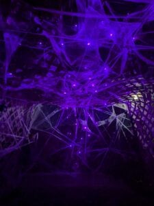A dimly lit tunnel resembles an eerie gallery, adorned with intricate purple glowing spider webs. The webs are draped across a lattice structure, enhancing the mystical atmosphere.
