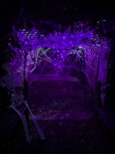 A spooky tunnel illuminated by purple lights transforms into a thrilling Halloween gallery. The lattice structure is adorned with countless spider webs, and a skeleton looms in the foreground, enhancing the eerie atmosphere.