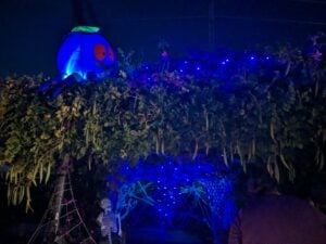 A spooky outdoor gallery at night showcases a giant inflatable creature with a blue body and red eyes perched on a vine-covered trellis. Below, along the pathway illuminated by eerie blue lights, stands a skeleton amid spider webs, with an intrigued person nearby.