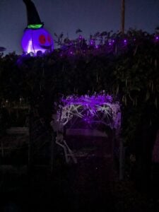 A Halloween-themed garden gallery features a large, smiling pumpkin lantern wearing a witch hat, surrounded by purple string lights. Below, a dark archway draped in cobwebs adds to the ambiance. The scene is dimly lit, crafting an exquisitely spooky atmosphere.