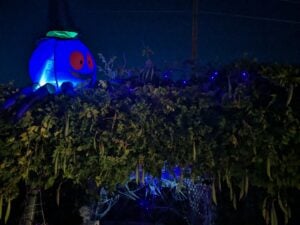 A Halloween display at night resembles a contemporary art piece, showcasing a large, glowing blue jack-o'-lantern with red eyes and a witch hat atop a lush green archway. Blue lights and hanging decorations enhance the spooky exhibition atmosphere.