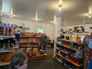 A small shop, resembling a lively gallery, showcases shelves brimming with souvenirs, snacks, and toys. The space is adorned with an array of hats, plush toys, and packaged goods. Warm lighting fills the shop as a child is partially visible in the foreground.