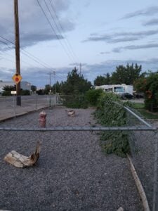 A fenced gravel area with scattered logs, a fire hydrant, and dense green foliage resembles a natural art exhibition. A road runs alongside, lined with trees and shrubs. A white vehicle is parked in the distance beneath a partly cloudy sky, showcasing the harmony between nature and man-made elements.