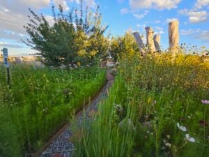 A vibrant garden with tall grass and wildflowers lining a gravel path creates a picturesque gallery of nature. Wooden sculptures stand in the background amidst lush greenery, while the sky is a canvas of blue with scattered clouds.