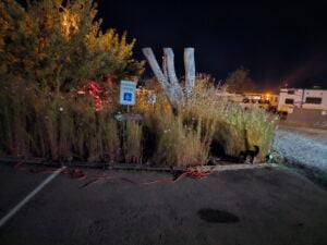 A dimly lit parking area at night, resembling an outdoor gallery with tall grass, a reserved parking sign, and wooden sculptures. A few parked RVs can be seen in the background.