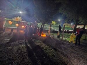 A nighttime scene in a park unfolds like a living gallery, with people gathered around a small campfire. Glowing lights and lanterns cast an enchanting glow, while some individuals don costumes. Majestic trees and fencing frame the background, adding depth to this vibrant tableau.