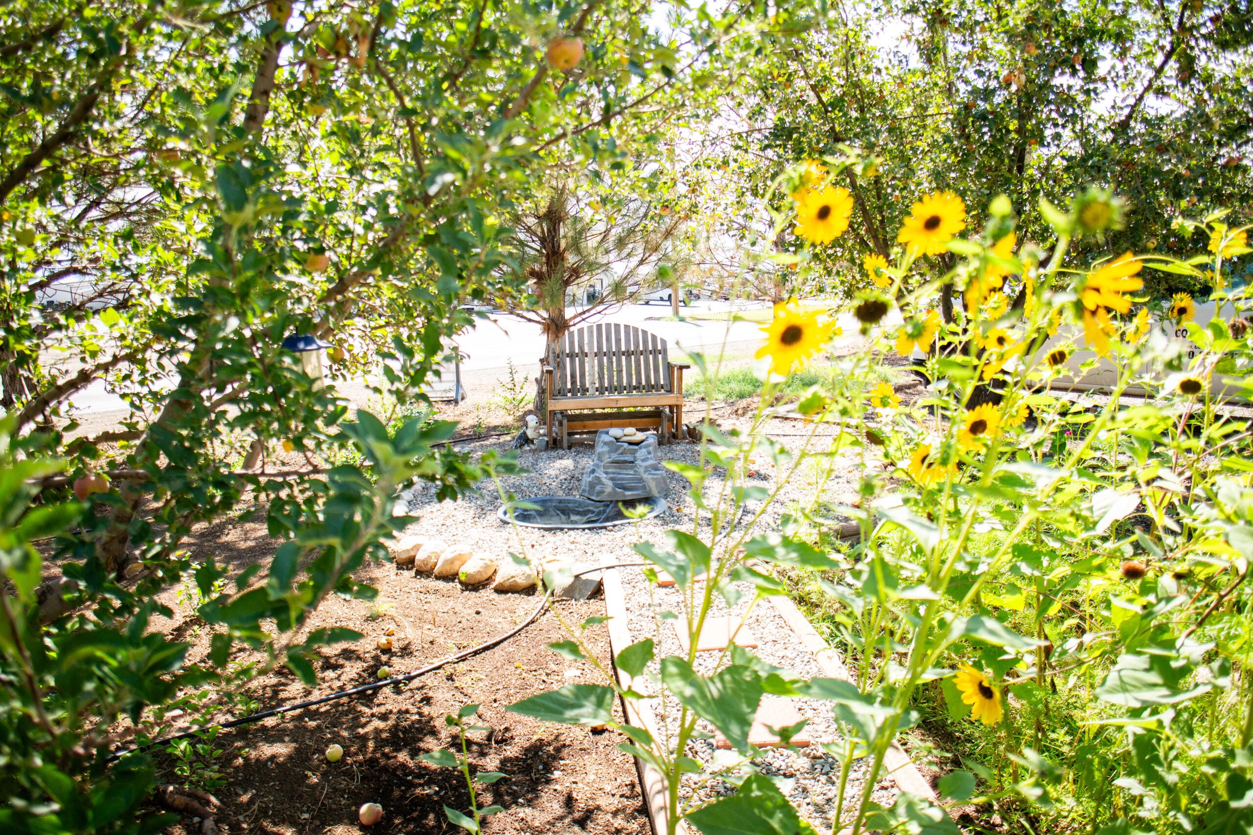 A wooden bench sits in a sunny garden surrounded by green plants, flowers, and trees, with a small stone path leading to it.