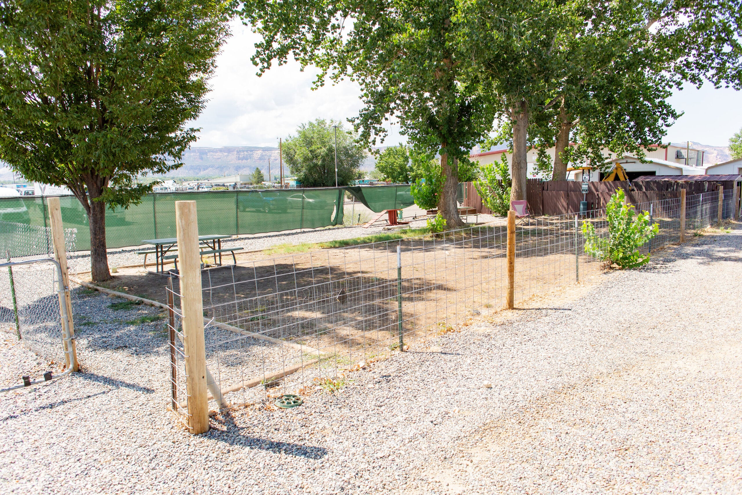 A fenced outdoor area with gravel ground, a few trees, and a picnic table, bordered by a green privacy screen and surrounded by buildings.