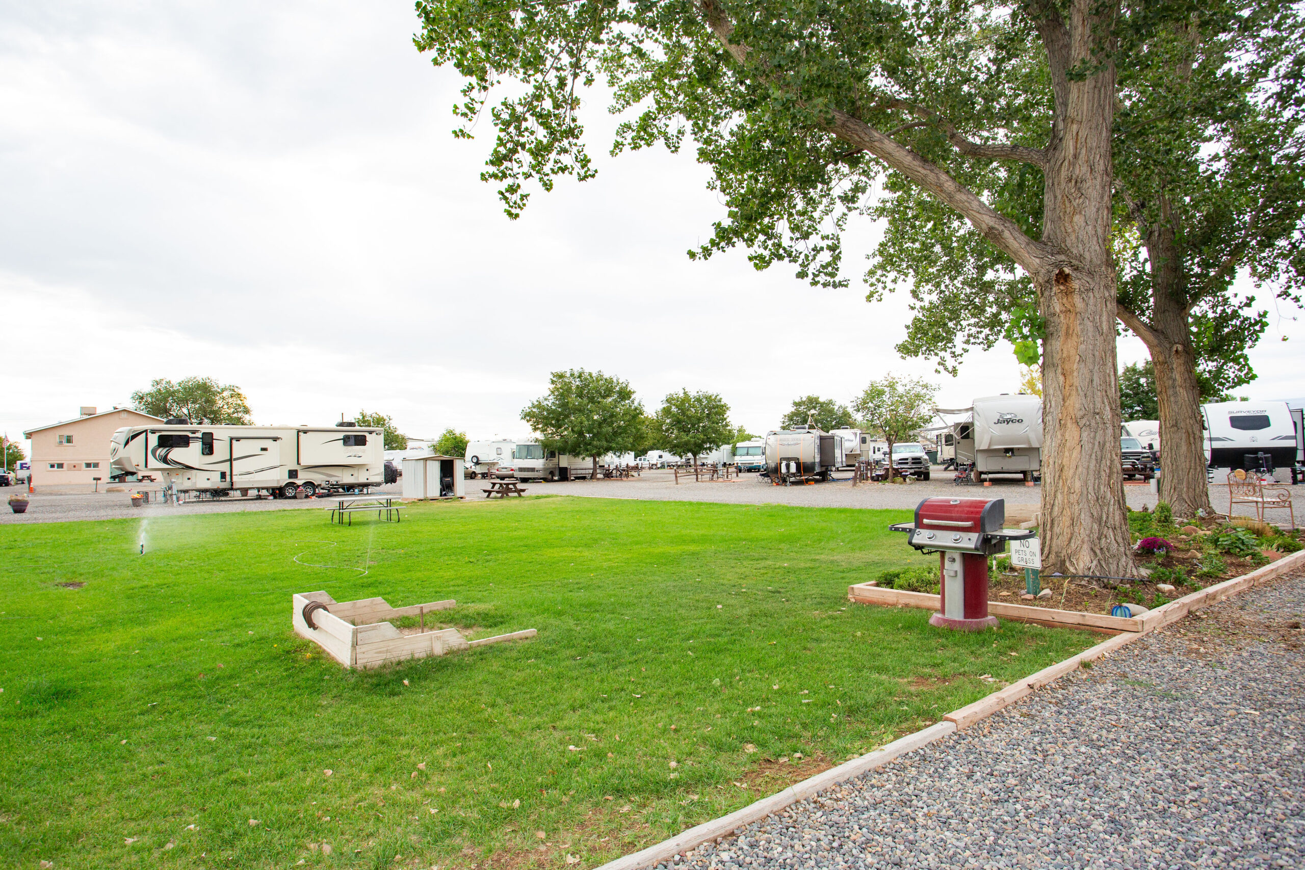 A grassy area with a barbecue grill and picnic tables is bordered by gravel paths, with several RVs parked in the background under large trees.